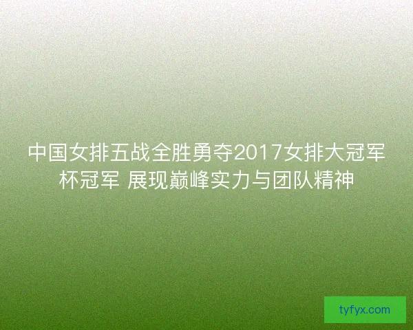 中国女排五战全胜勇夺2017女排大冠军杯冠军 展现巅峰实力与团队精神 中国女排五战全胜勇夺2017女排大冠军杯冠军 展现巅峰实力与团队精神